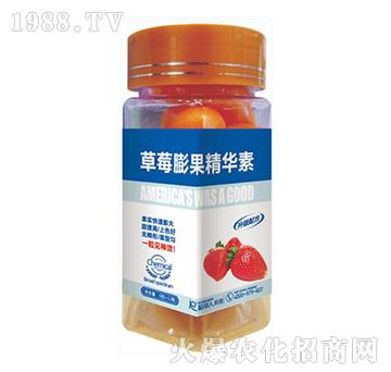 ��ݮ������A��-������