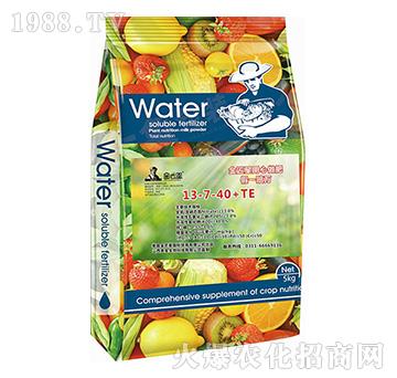 ����Ԫ��ˮ�ܷ���13-7-40+TE-����