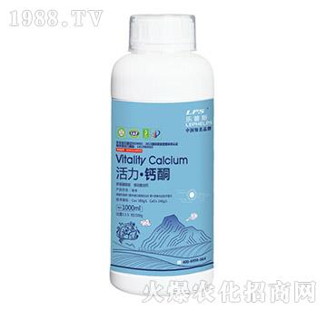 �������}ͪ-����ʩ-�Θ��ʘI(y��)