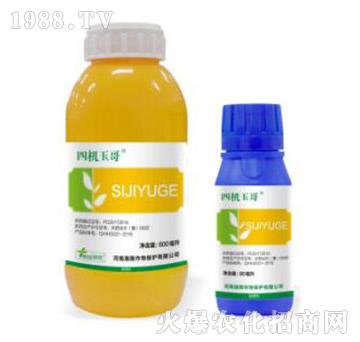 33%���ס�ݬ������-�ęC(j��)���-�˹����