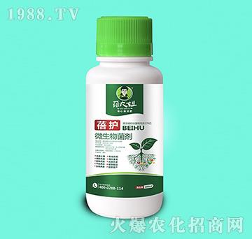 ΢�������-���o-�����