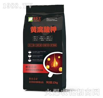 �S�����-�ژ�ʿ