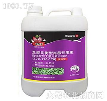 ȫ�ܾ��������猣�÷�170-170-170-�����-���A����