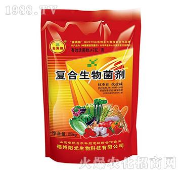 ��(f��)���������-��M��-ꖹ�����