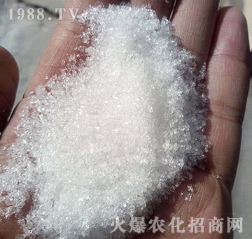 99%�����V-��(gu��)�����Q(m��o)