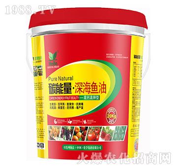 ���}�����-̼��������~��-����