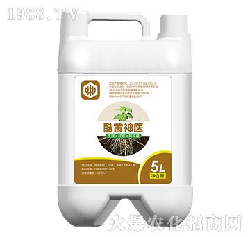 ���S���t(y��)�������������ã�-��ֲ(li��n)��