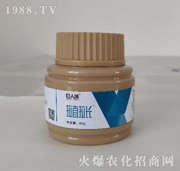 ��ֱ���L-���˳�