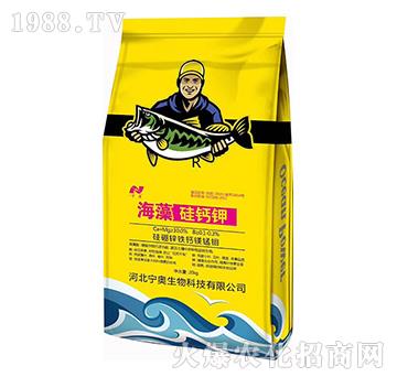 ������}�-���W����