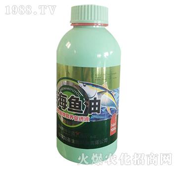 ���~��-��������