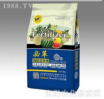 必革西甜瓜專用大量元素水溶肥18-8-28+TE-信飛農(nóng)業(yè)