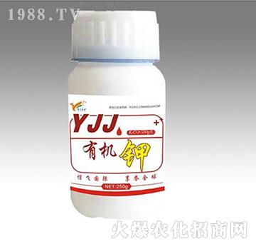 �ЙC�-���w�r�I(y��)