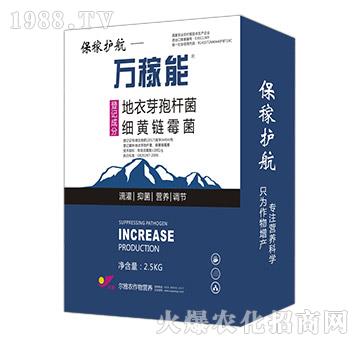 �����o(h��)��-�f(w��n)����-Ǭ�r(n��ng)