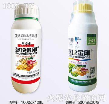 ���������o�K����-��ʿ��