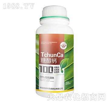 ��һԪ��-�Ǵ��}-���