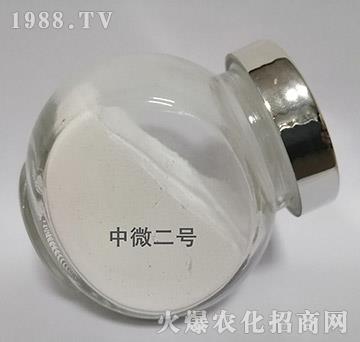 ��΢2̖(h��o)