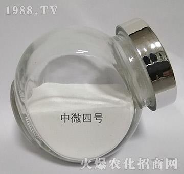 ��΢4̖(h��o)