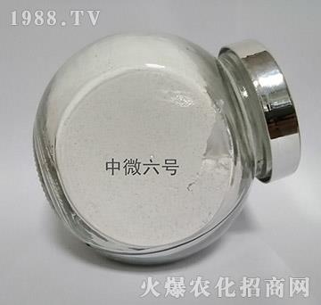 ��΢6̖(h��o)