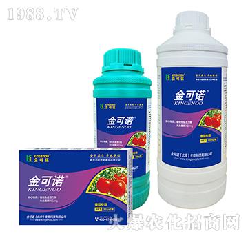 ���ь���-����Z