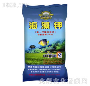 50kg�����-���R��