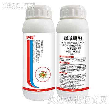 43%(li��n)������-���-���N����