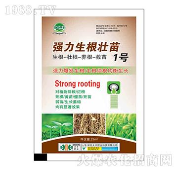 ������������1̖-��@���S-���S�ʘI(y��)