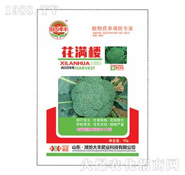 ���m�����û��M��-��@���S-���S�ʘI(y��)