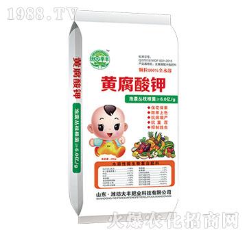 �S����⛛_ʩ��-��@���S-���S�ʘI(y��)