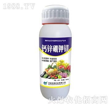 �}�\����V-���䌍�I(y��)