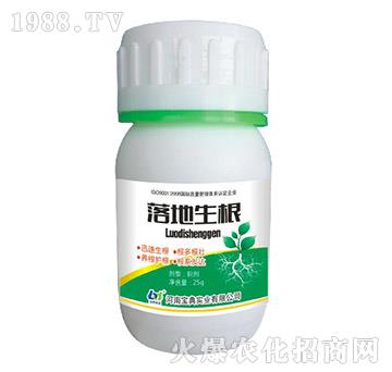 �������-���䌍�I(y��)