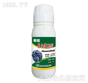 ������ɫ�ߺڄ�-���䌍�I(y��)