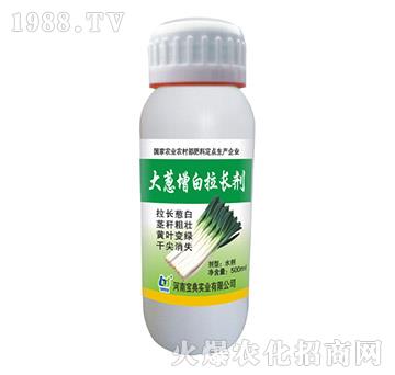 ���[�������L��-���䌍�I(y��)