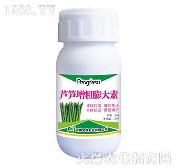 �J�S���������-���䌍�I(y��)