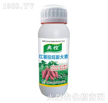 �t�����������-���-���䌍�I(y��)