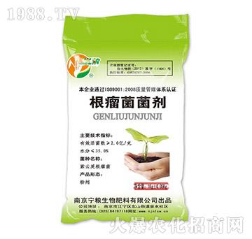 ����������-���Z����