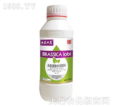 1000g��������ˮ�ܷ���-�|�pޥ-ʥ���S