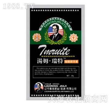�G���T����-��ķ������-�μ�