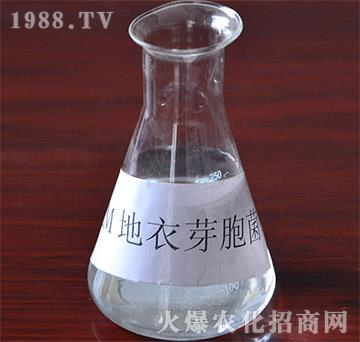 EM����ѿ�߾�-�VԪ����