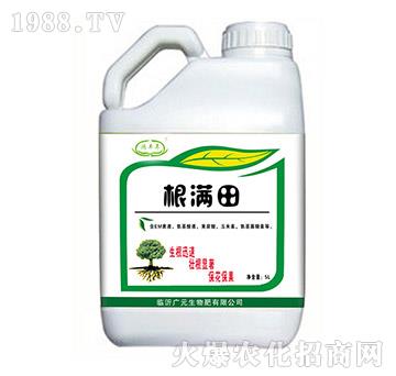 ���M��-���S��-�VԪ����