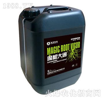 ħ����ͨ-����Ƽ�