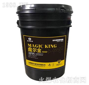 ħ����-����Ƽ�