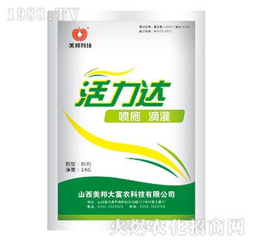 �����_-����Ƽ�