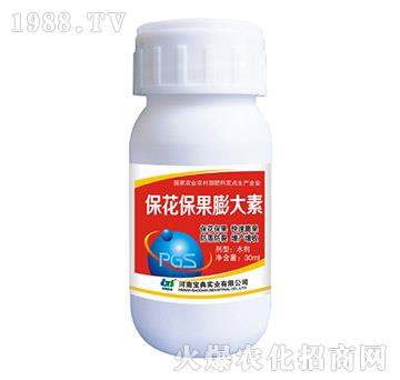 �������������-���䌍�I(y��)