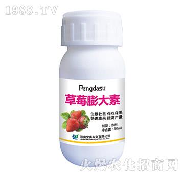 ��ݮ�����-���䌍�I(y��)