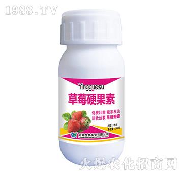 ��ݮӲ����-���䌍�I(y��)