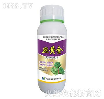 500ml���S��-���䌍�I(y��)