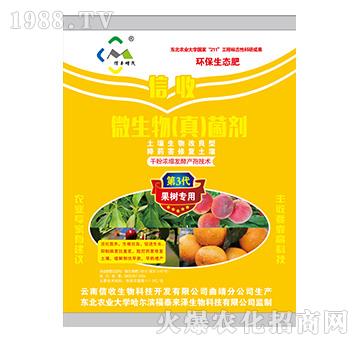 ���䌣��΢����棩����-��������