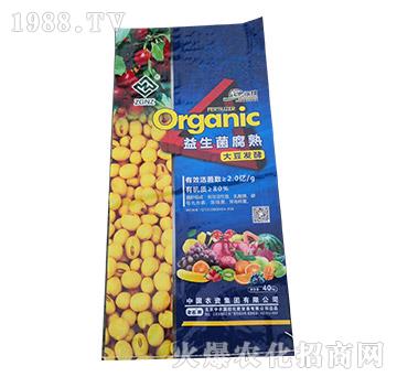 ����������󶹰l(f��)�ͷ�-���r(n��ng)