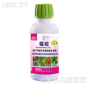 �߮a(ch��n)�������ð�����ˮ�ܷ�-���-���r(n��ng)˹�_