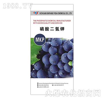 ��������-�����_